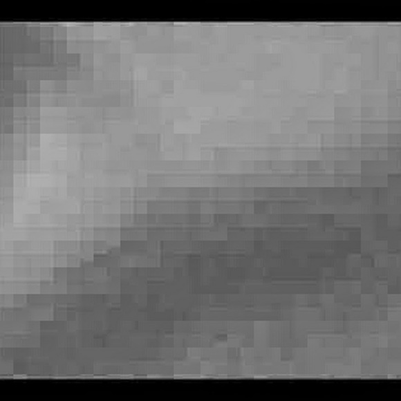 Meet your Posher, Kyle - Picture 1 of 1